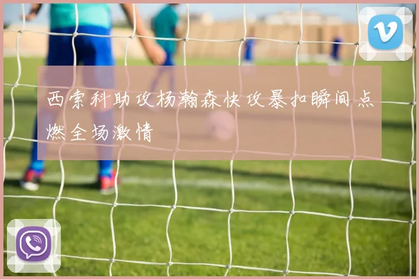 西索科助攻杨瀚森快攻暴扣瞬间点燃全场激情