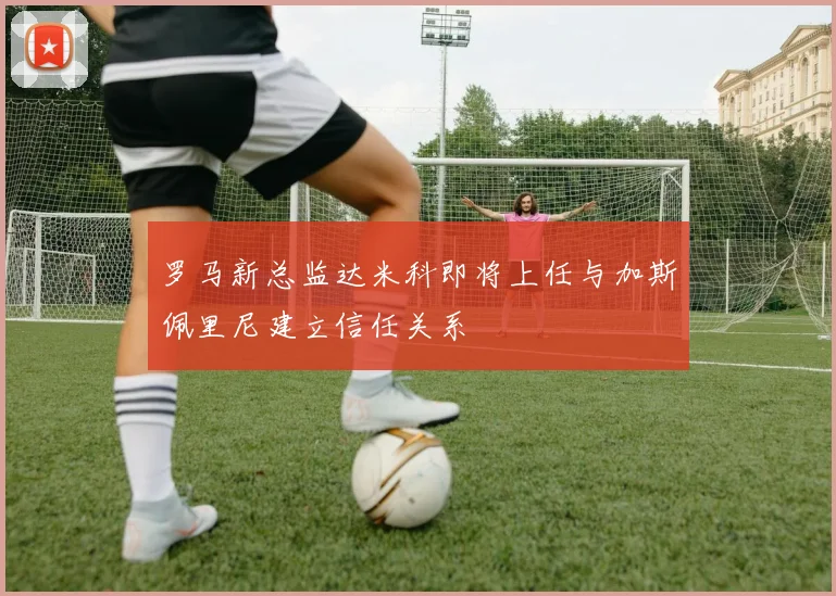 罗马新总监达米科即将上任与加斯佩里尼建立信任关系