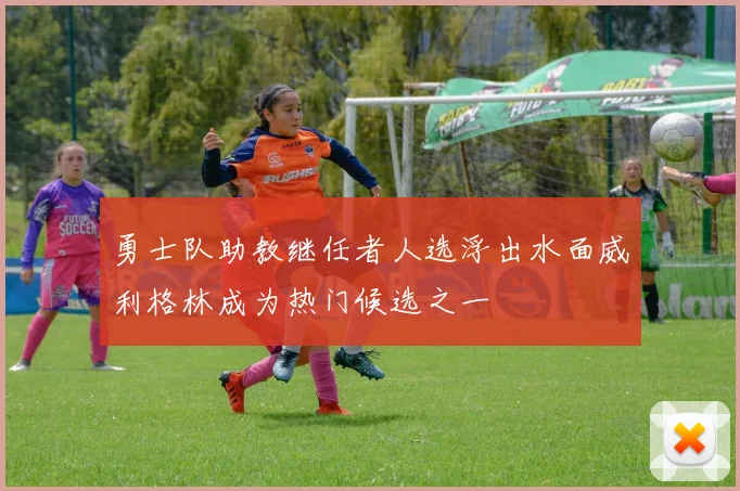 勇士队助教继任者人选浮出水面威利格林成为热门候选之一